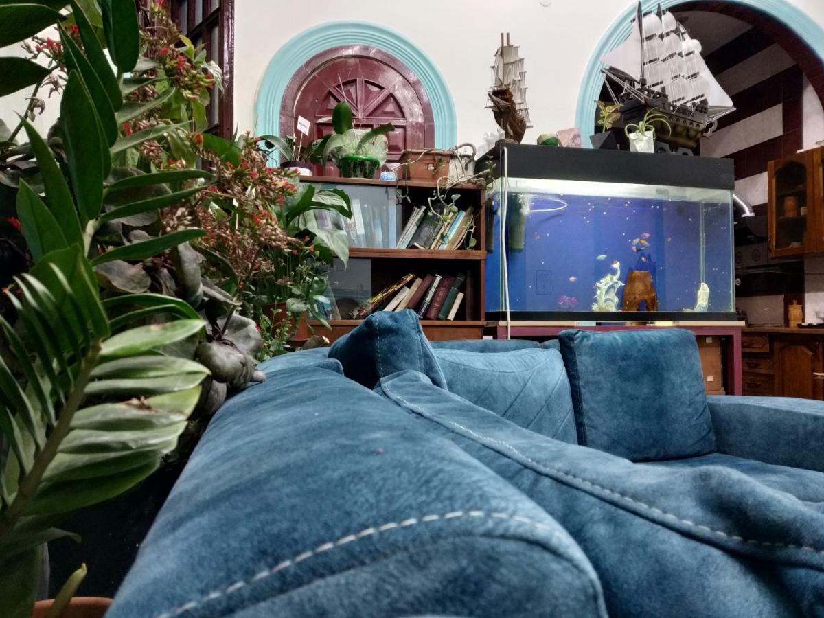 Flora Hostel Baku Zewnętrze zdjęcie